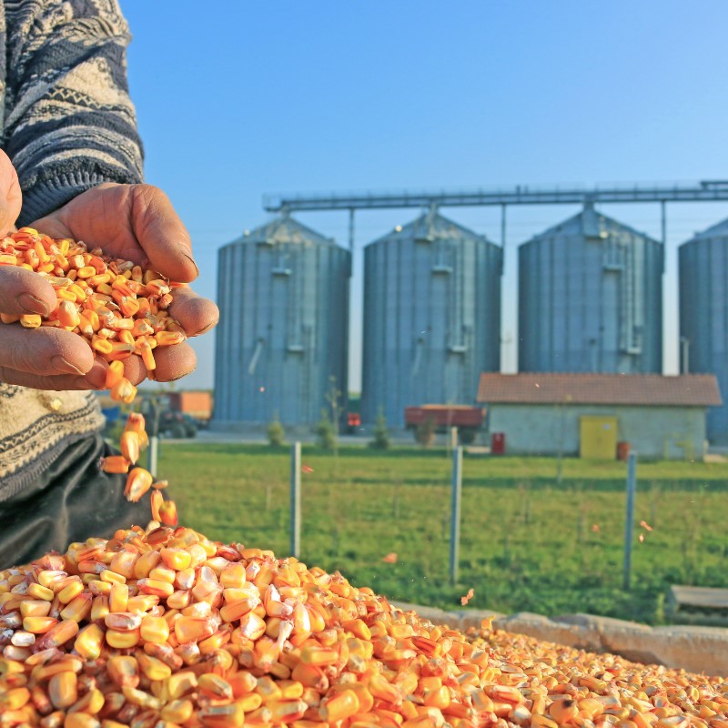 Análisis de  alimentos  y bebidas