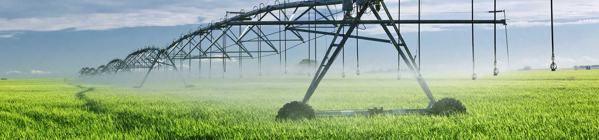 Agroindustria: Humedad y caudal